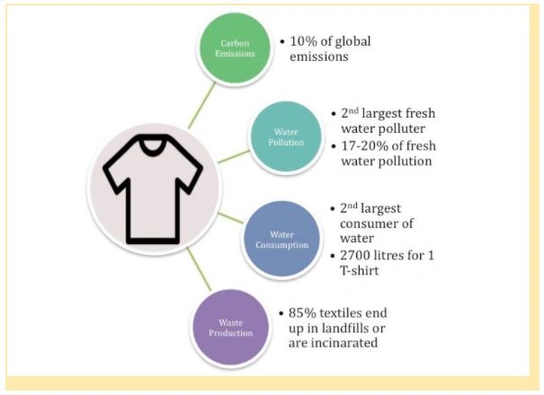 The true cost of demand for cheap clothes, to you and the environment - CNA