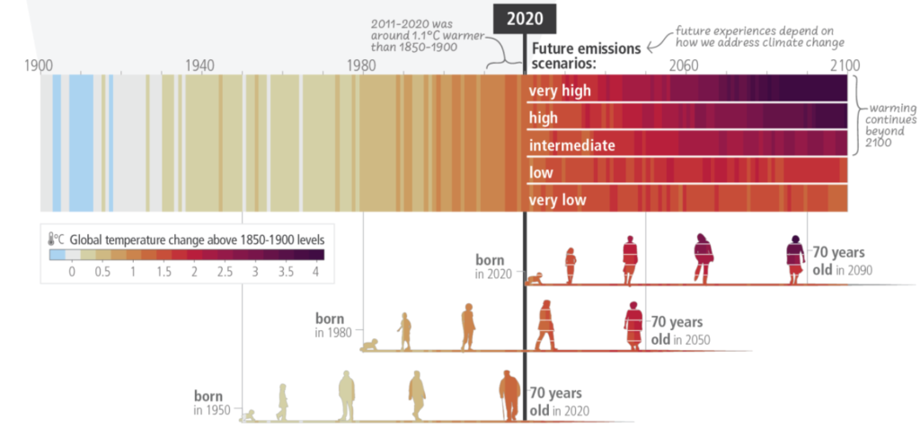 The Four Outcomes of Climate Change