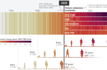 The Four Outcomes of Climate Change