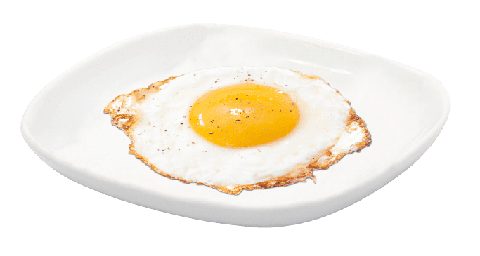 Fried Egg