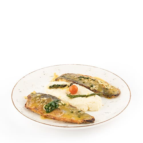 Sea Bass Fillet
