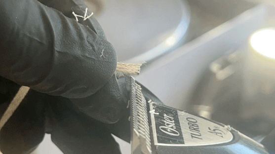 Cutting String with Sharp Blade