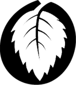 Olmo Logo