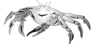 Via-Mar Inc. Logo