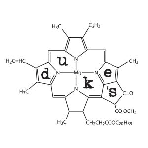 Duke's Alehouse and Kitchen Logo