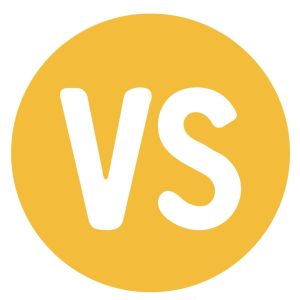 Vibrant Sunshine Logo