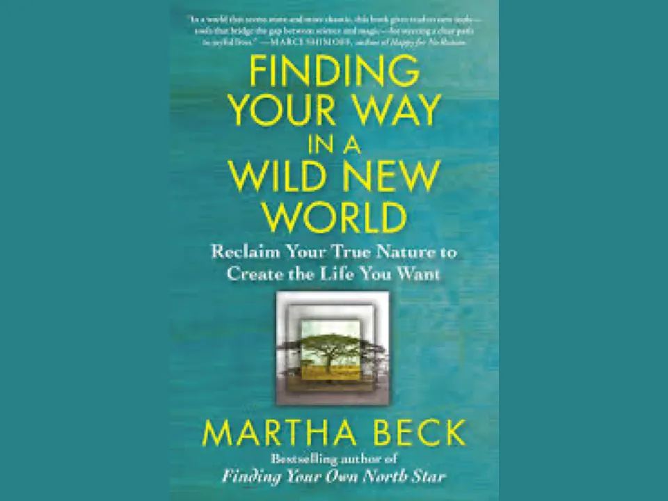 Finding Your Way In A Wild New World - Book Cover