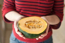 image of acorn_squash