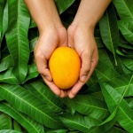 image of mango