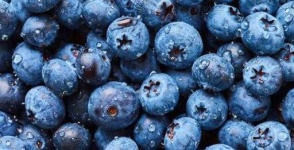 image of blueberry