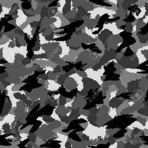 Camouflage image classifcation dataset for machine learning