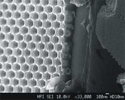 image of honeycomb