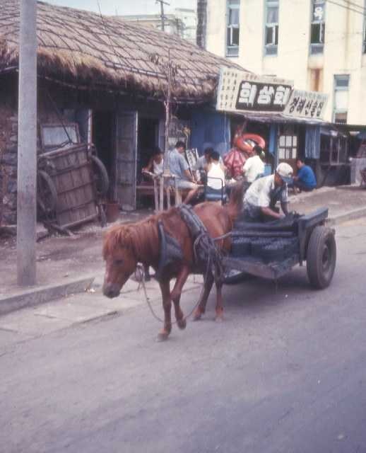 image of horse_cart