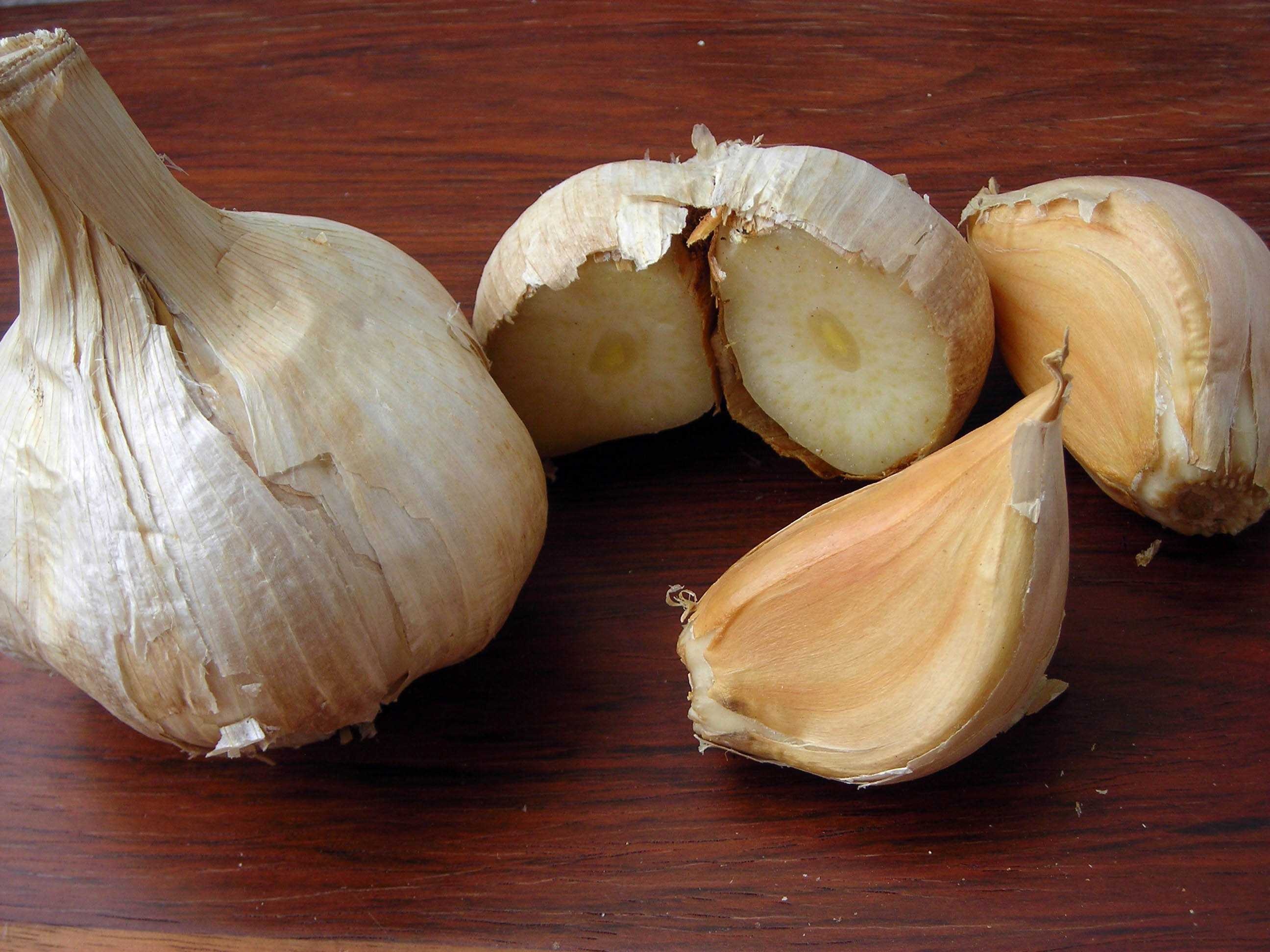 Garlic image classifcation dataset for machine learning