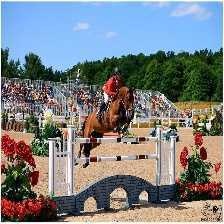 image of horse_jumping