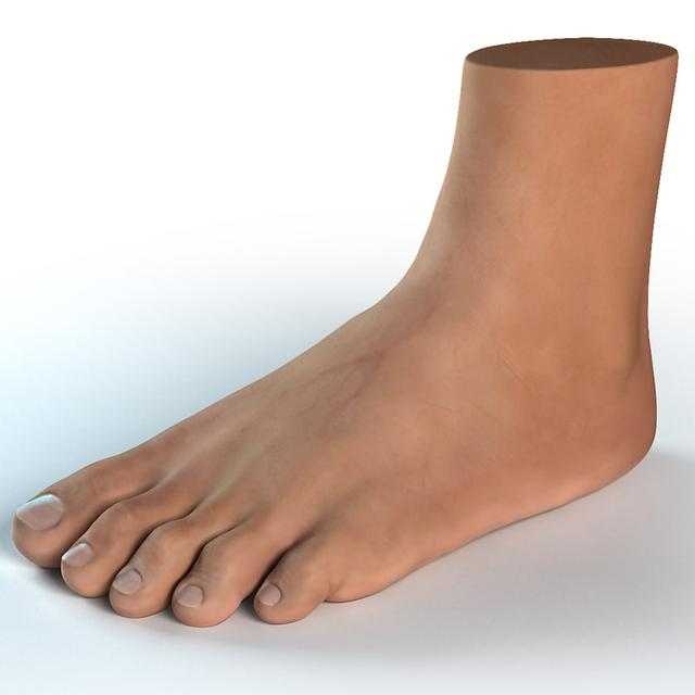 image of foot