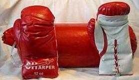 image of punching_bag