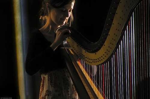 image of harp