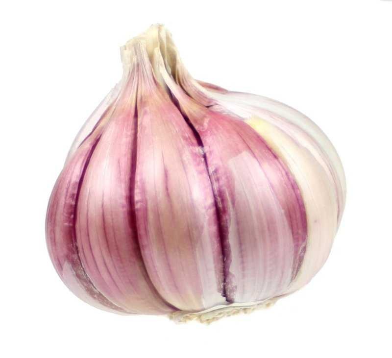 Garlic image classifcation dataset for machine learning