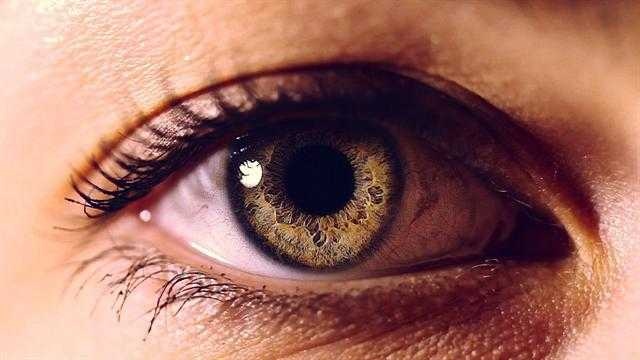 eye