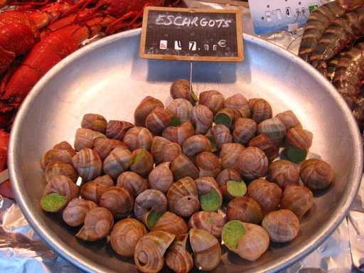 Escargots image classifcation dataset for machine learning
