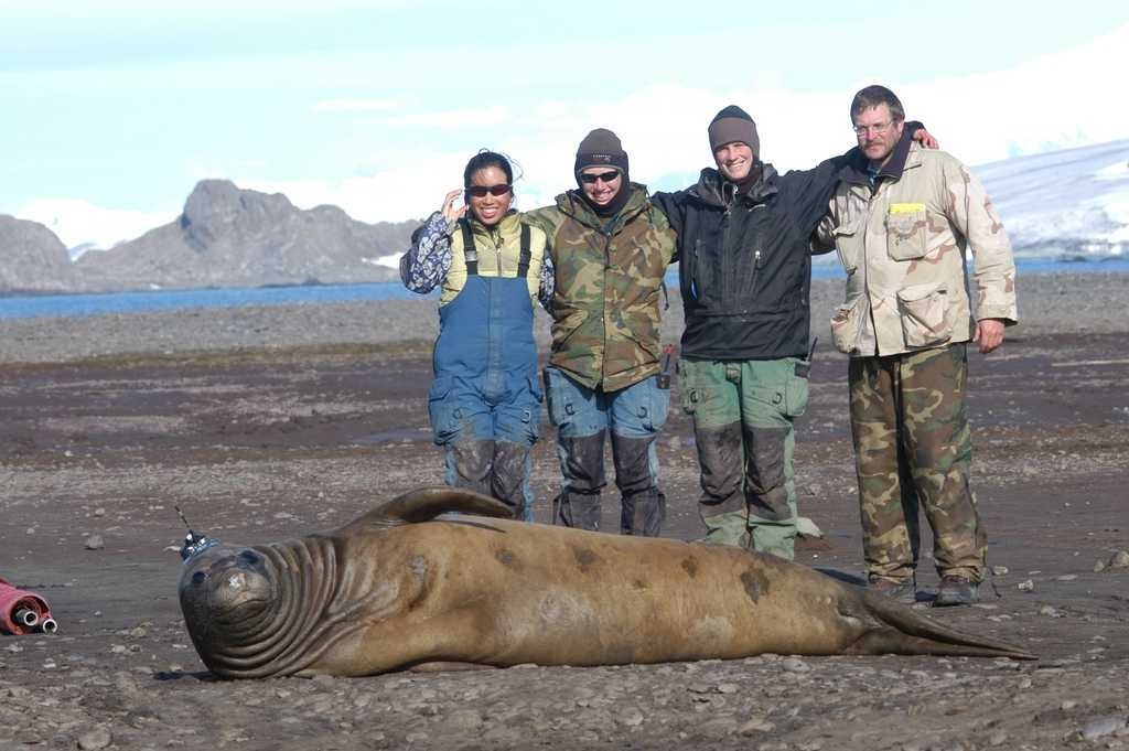 image of sea_lion