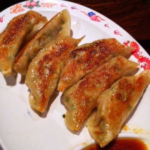 image of gyoza