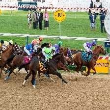 Horse racing image classifcation dataset for machine learning