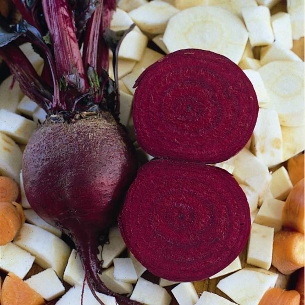 Beetroot image classifcation dataset for machine learning