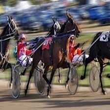 harness_racing