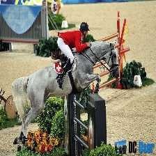 Horse jumping image classifcation dataset for machine learning