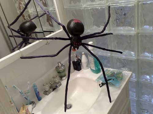 image of black_widow