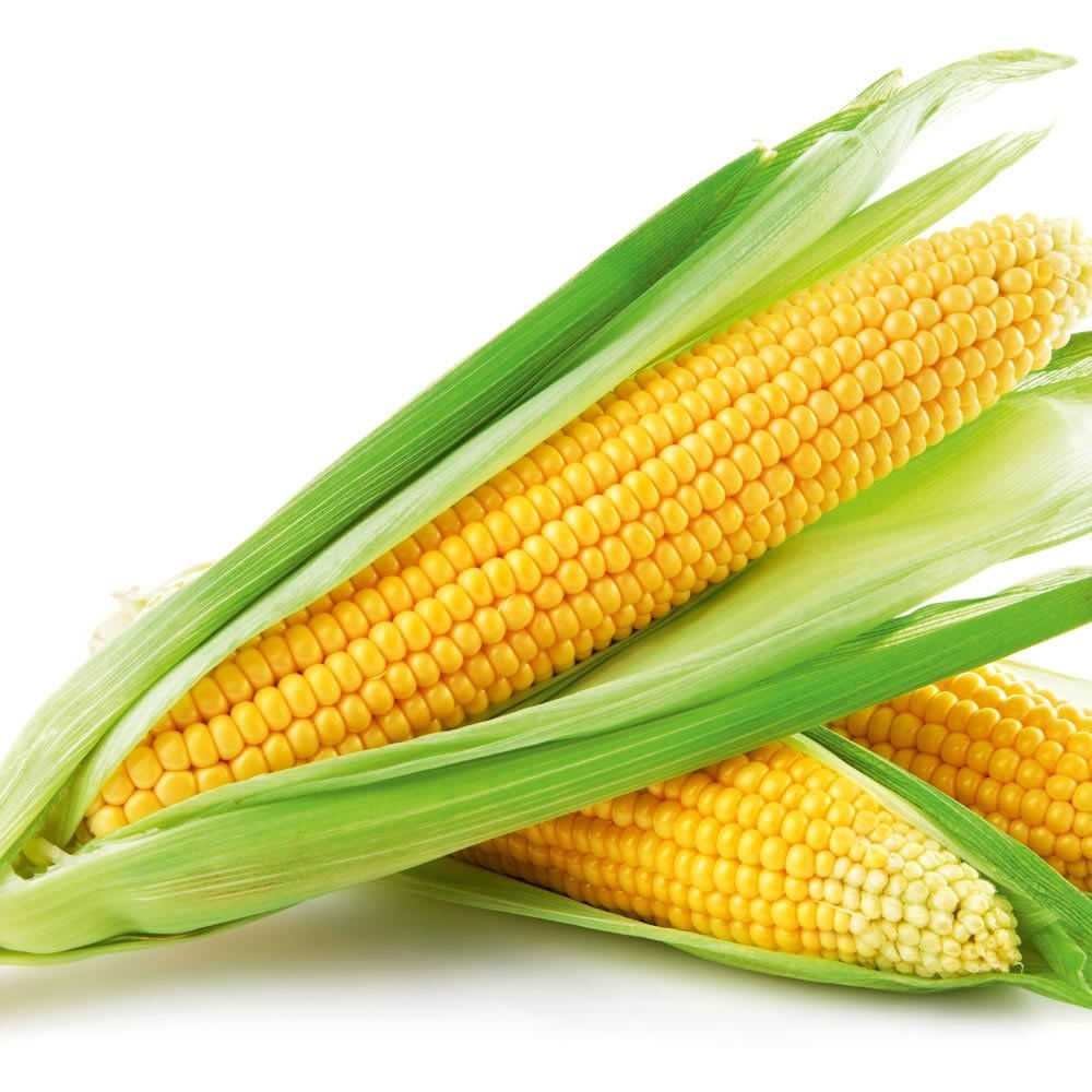 sweetcorn