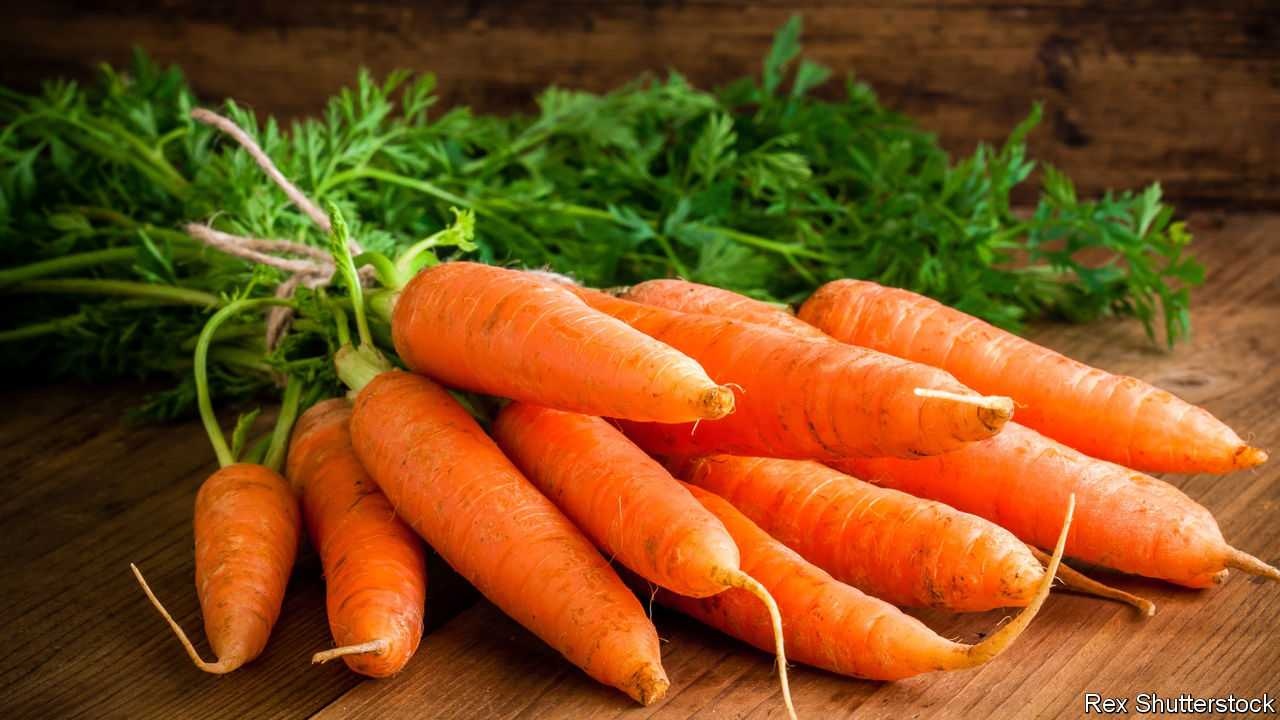 image of carrot