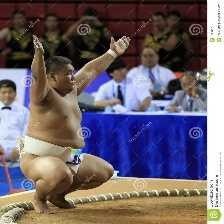 sumo_wrestling