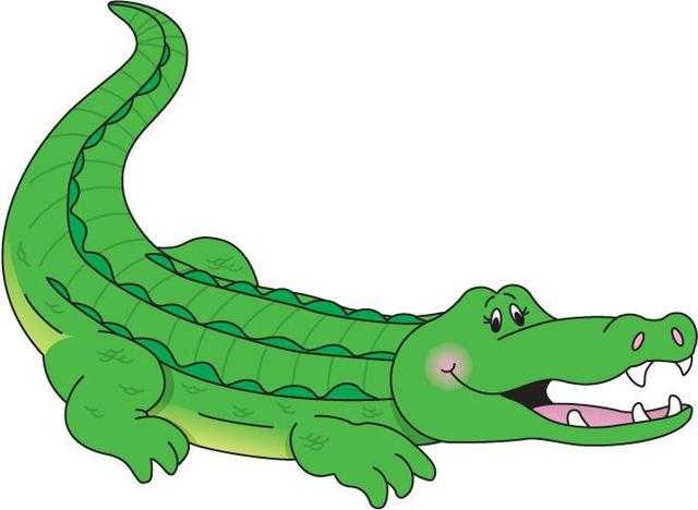 Crocodile image classifcation dataset for machine learning