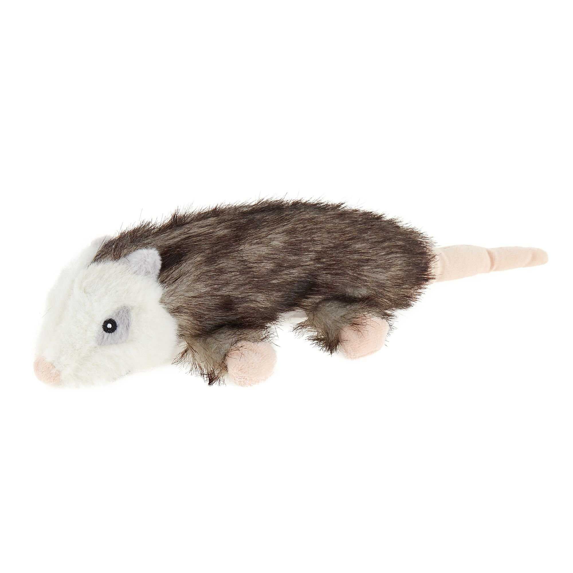 image of possum