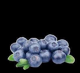 Blueberry image classifcation dataset for machine learning