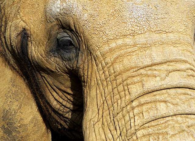 image of wrinkled #17
