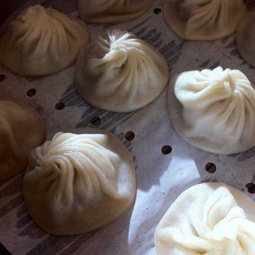 Dumplings image classifcation dataset for machine learning