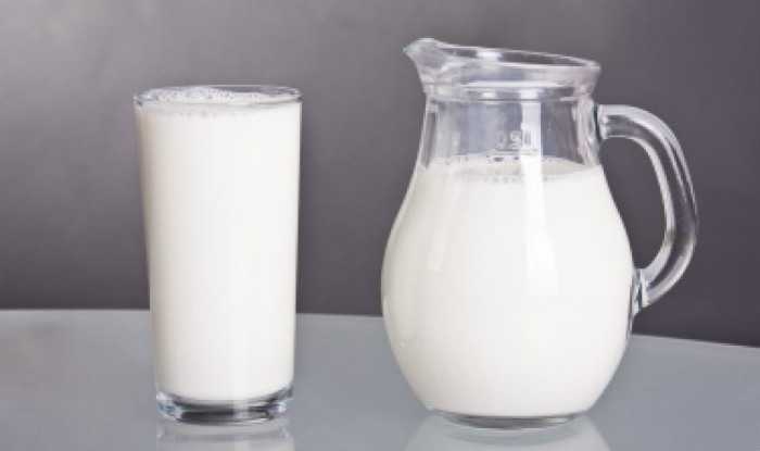 Dairy product image classifcation dataset for machine learning