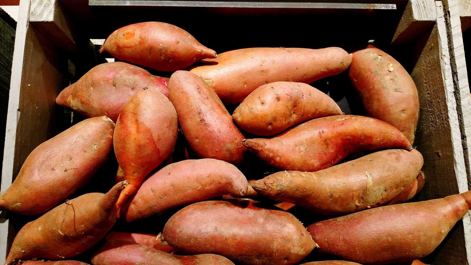 image of sweetpotato