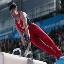 image of pommel_horse