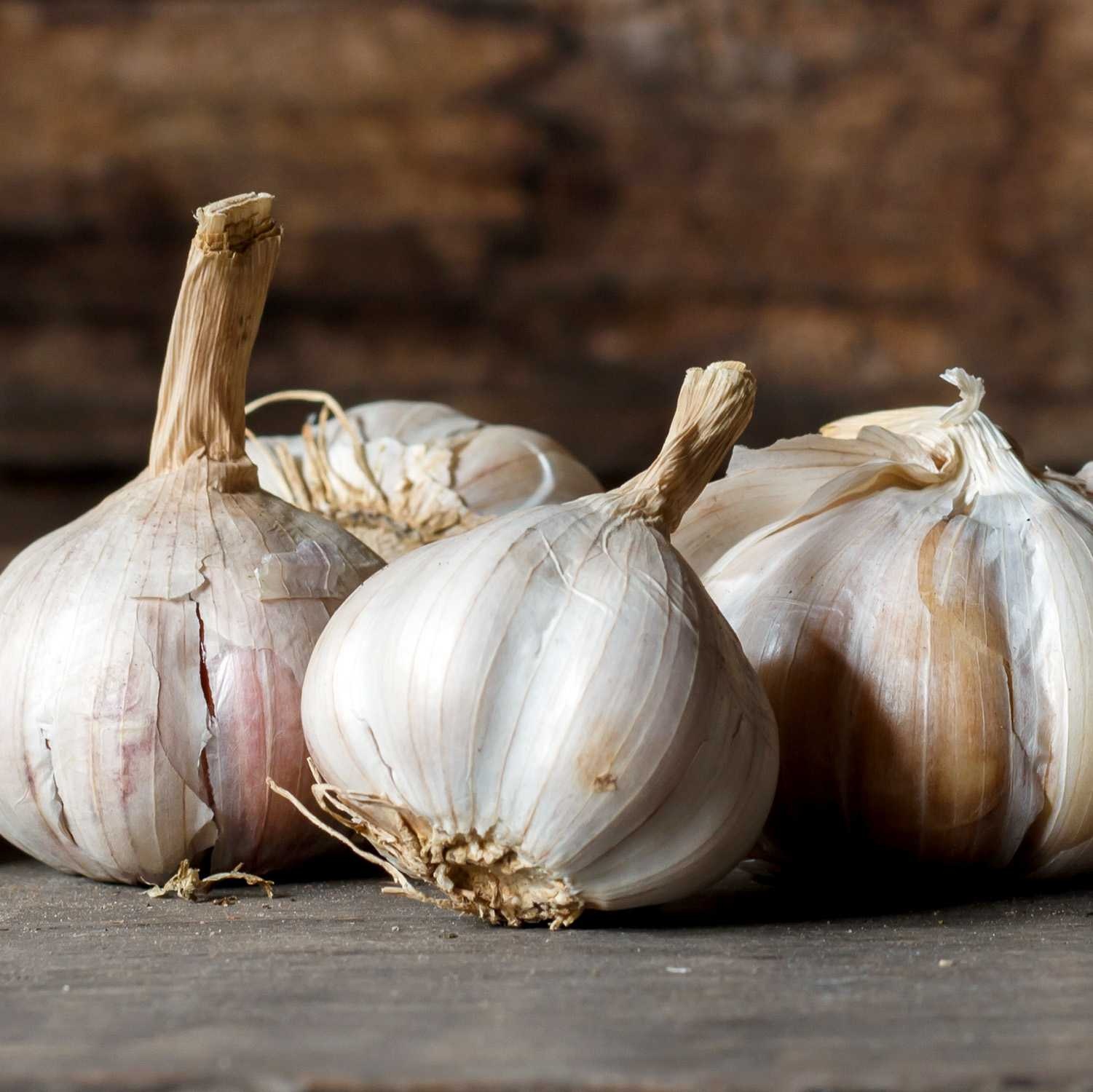 image of garlic