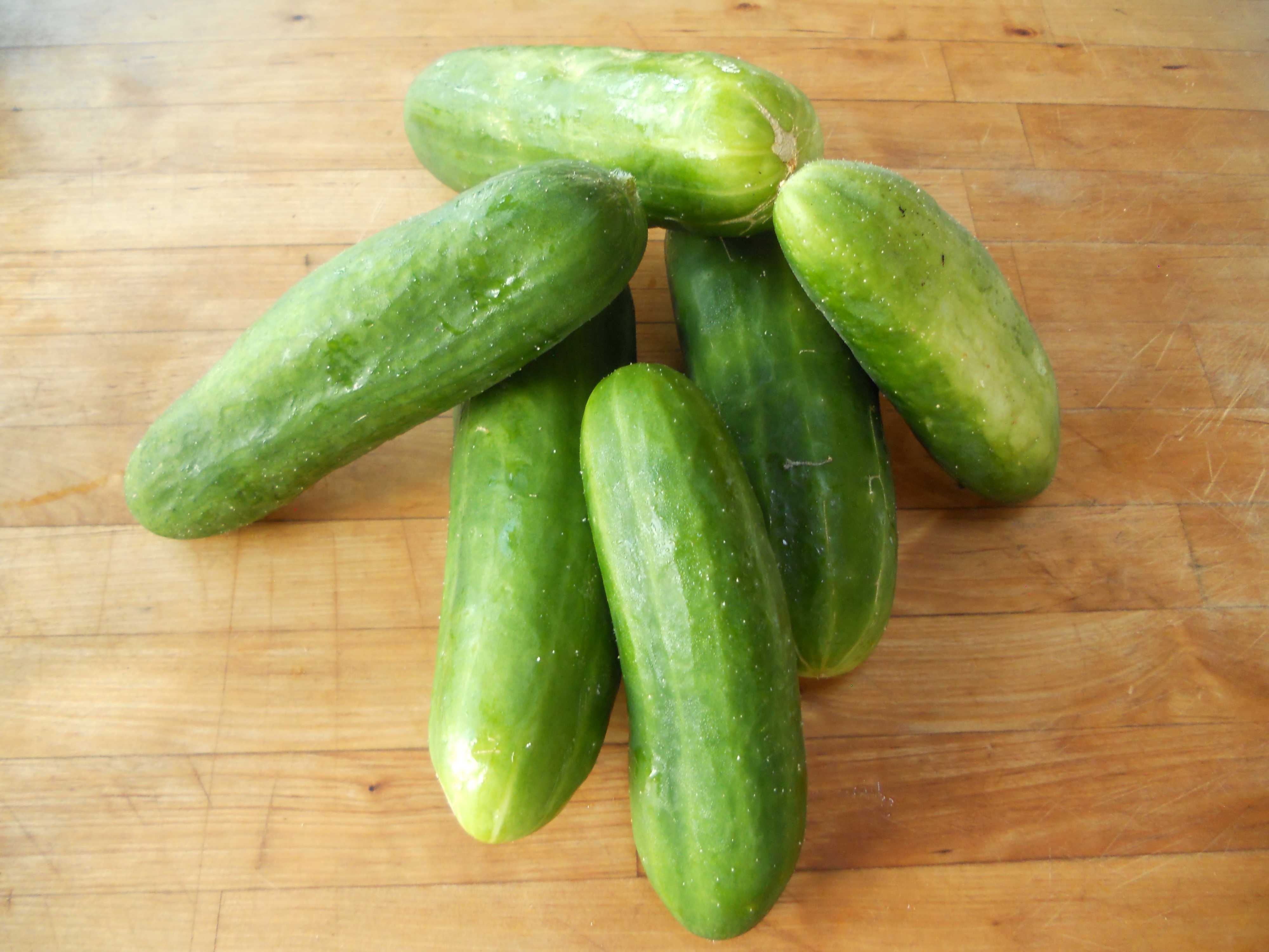 cucumber