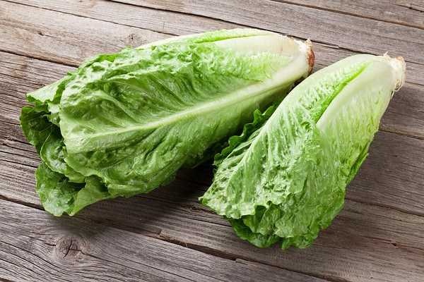 Lettuce image classifcation dataset for machine learning