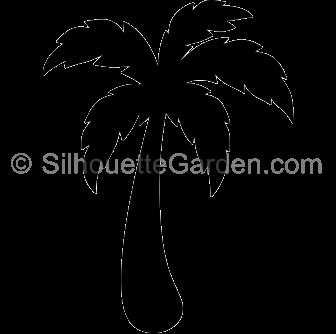 palm_tree