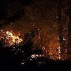 image of wildfire