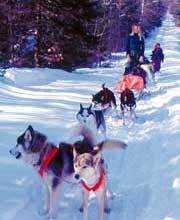 Dogsled image classifcation dataset for machine learning