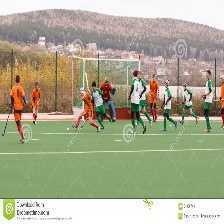Field hockey image classifcation dataset for machine learning